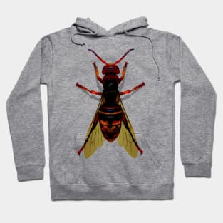 Hornet Two Hoodie